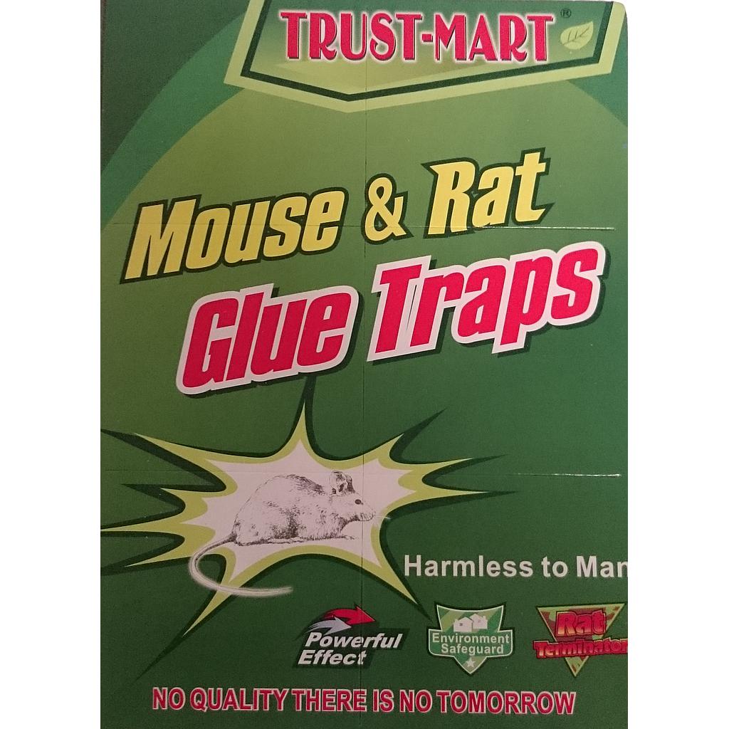 Mouse Glue Trap NOT FOR USE in ACT, Tas, Vic