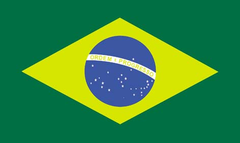 Brazil Flag 5' X 3'